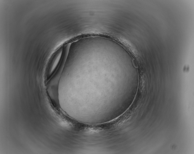 X0000094460680200711151450