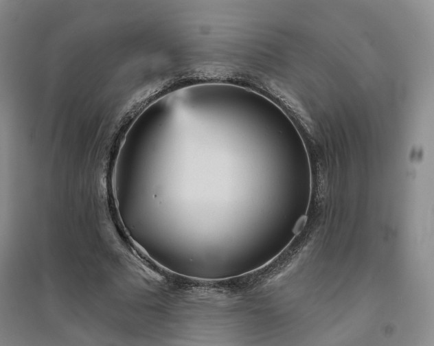 X0000094460681200711151450
