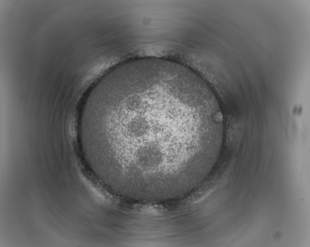 X0000094460683200711151450