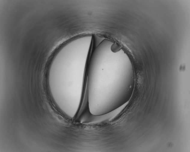 X0000094460684200711151450