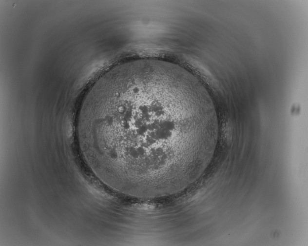 X0000094460687200711151450