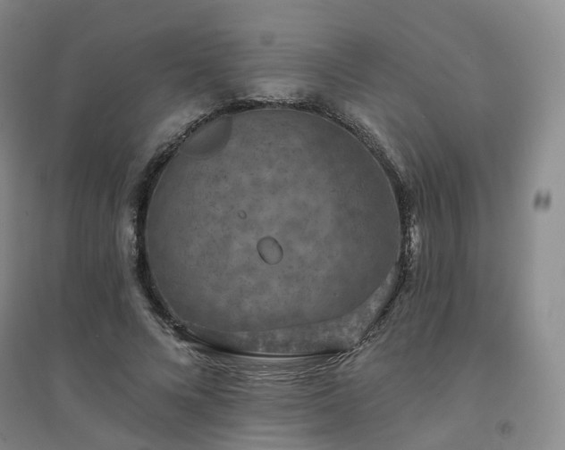 X0000094460688200711151450