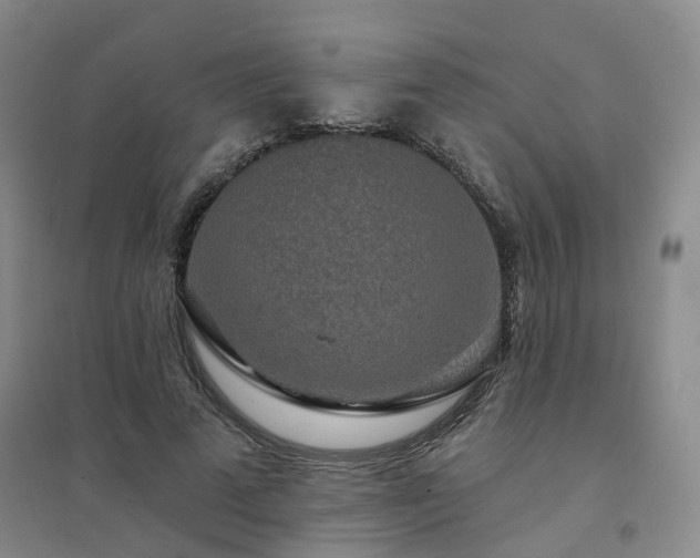 X0000094460689200711151450