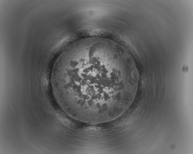 X0000094460691200711151450