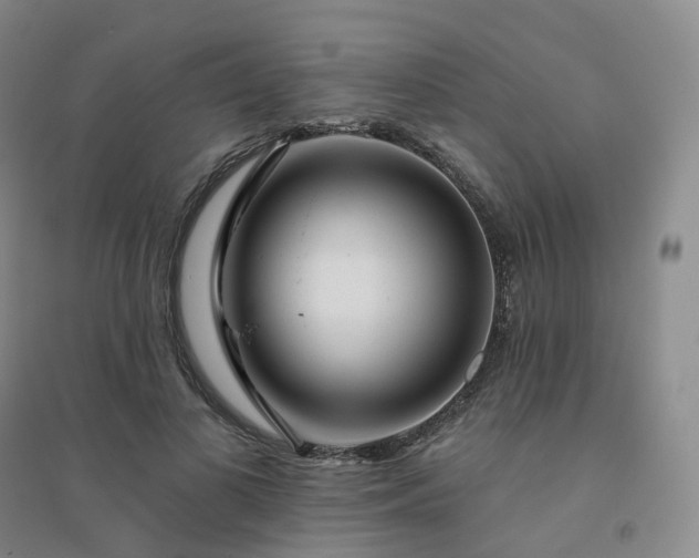 X0000094460693200711151450