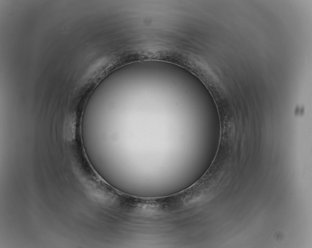 X0000094460694200711151450