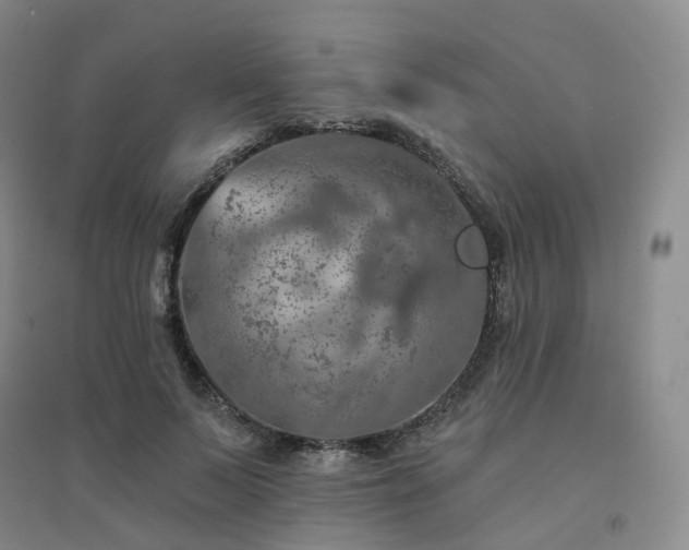 X0000094460695200711151450