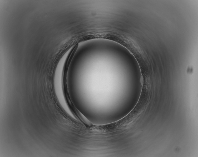X0000094460697200711151450
