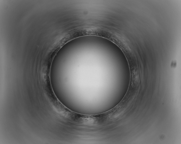 X0000094460698200711151450