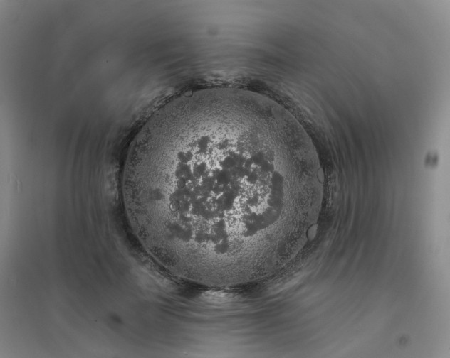 X0000094460699200711151450