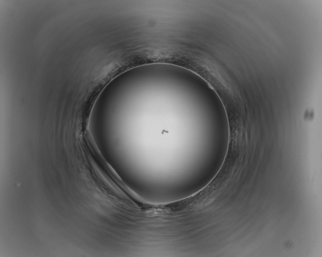 X0000094460700200711151450