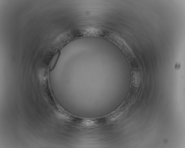 X0000094460701200711151450