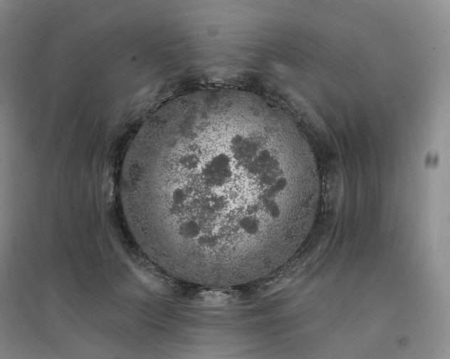 X0000094460703200711151450