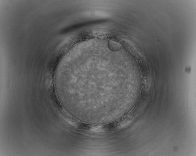 X0000094460705200711151450