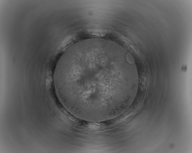 X0000094460707200711151450
