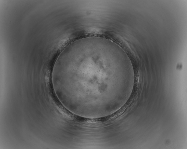 X0000094460708200711151450
