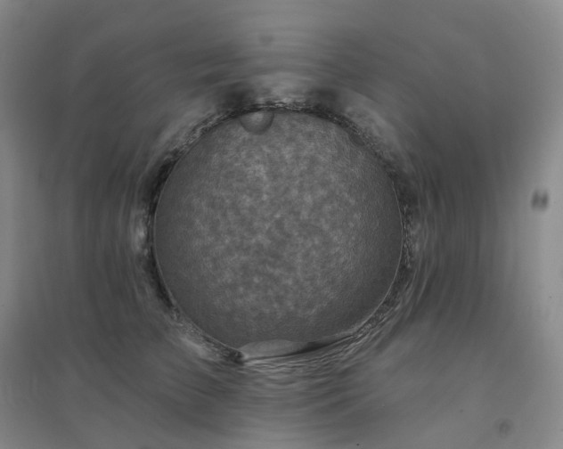 X0000094460709200711151450