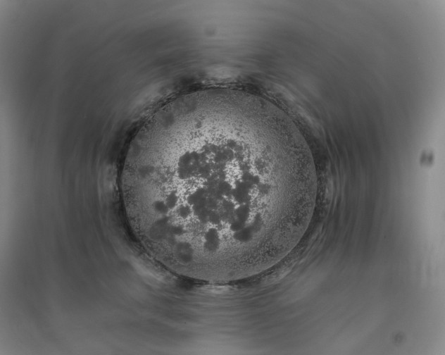 X0000094460711200711151450
