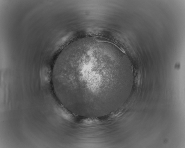 X0000094460712200711151450