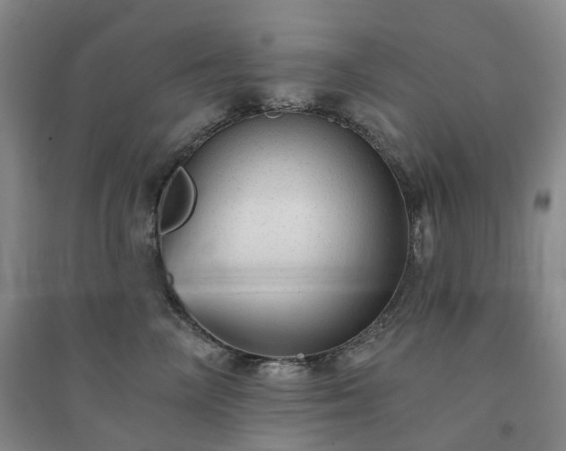 X0000094460714200711151450