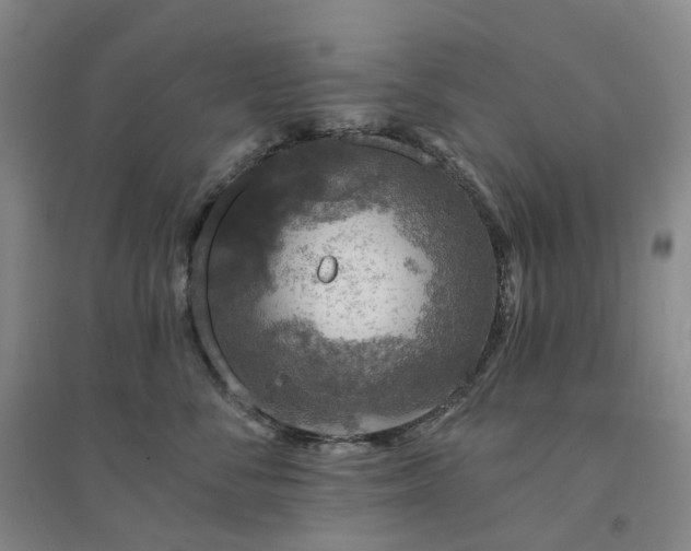 X0000094460716200711151450