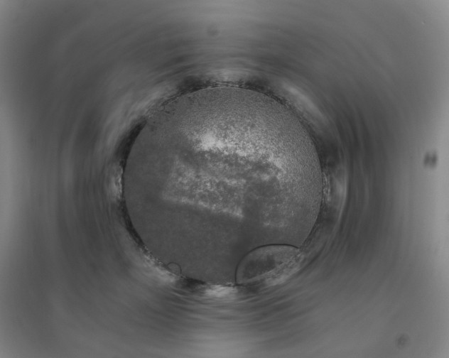 X0000094460718200711151450