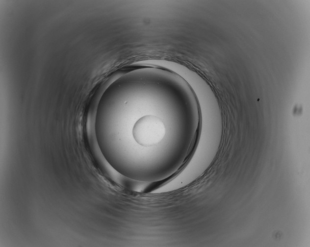 X0000094460720200711151450