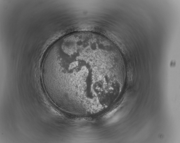 X0000094460721200711151449