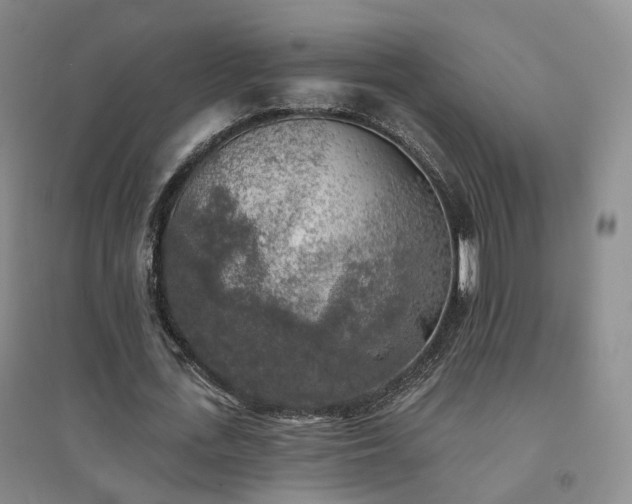 X0000094460723200711151449