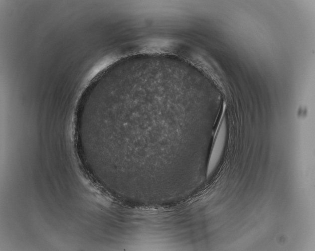 X0000094460724200711151449