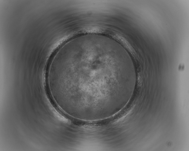 X0000094460725200711151449