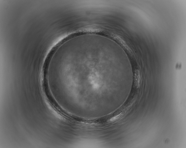 X0000094460726200711151449