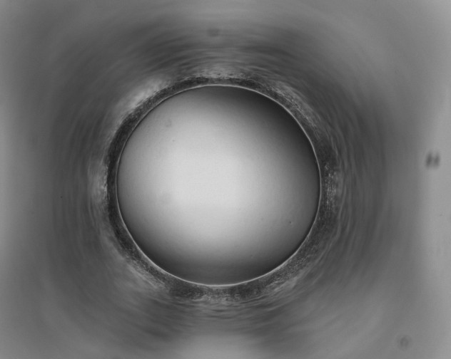 X0000094460727200711151449