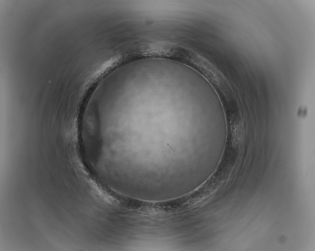 X0000094460729200711151449