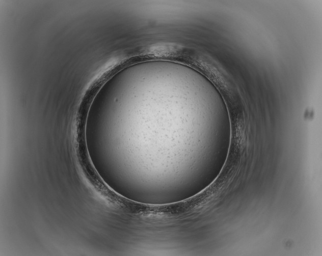 X0000094460730200711151449