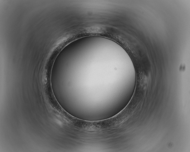 X0000094460731200711151449
