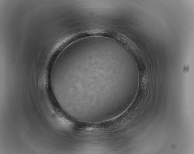 X0000094460732200711151449