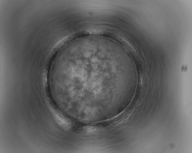 X0000094460733200711151449