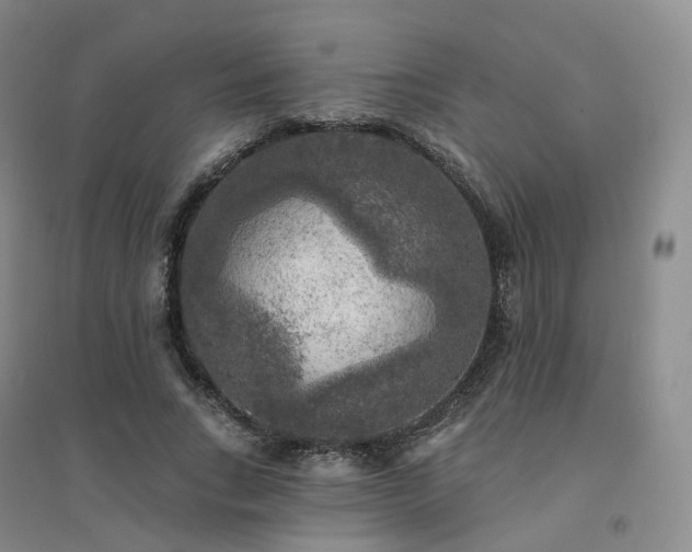 X0000094460735200711151449