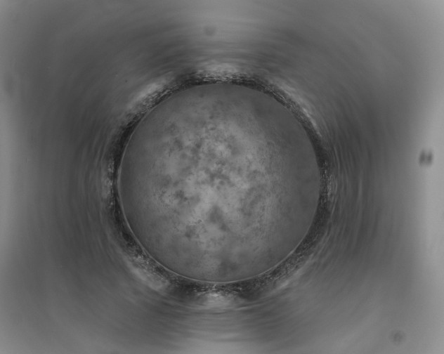X0000094460737200711151449