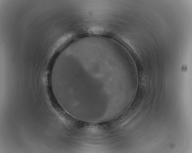 X0000094460738200711151449