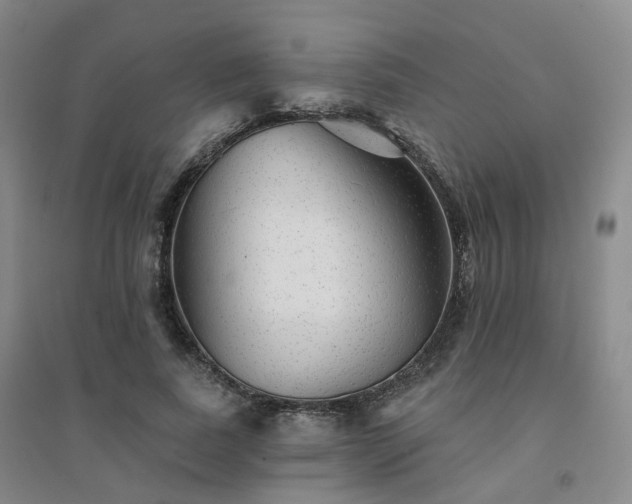 X0000094460739200711151449