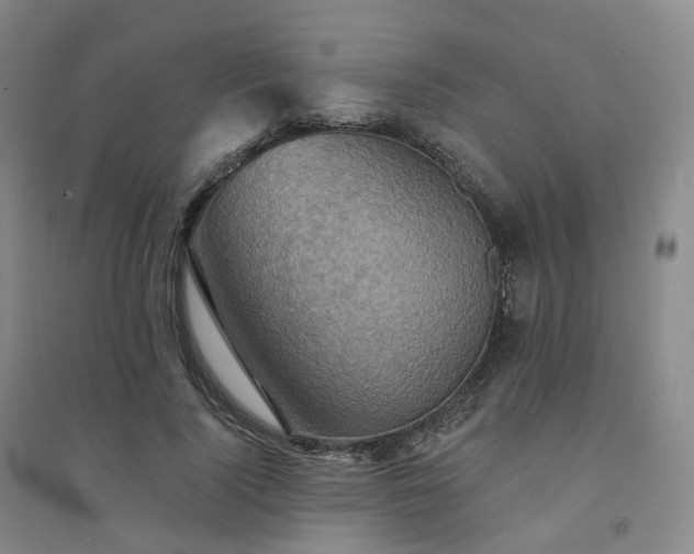 X0000094460740200711151449