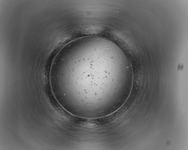 X0000094460743200711151449