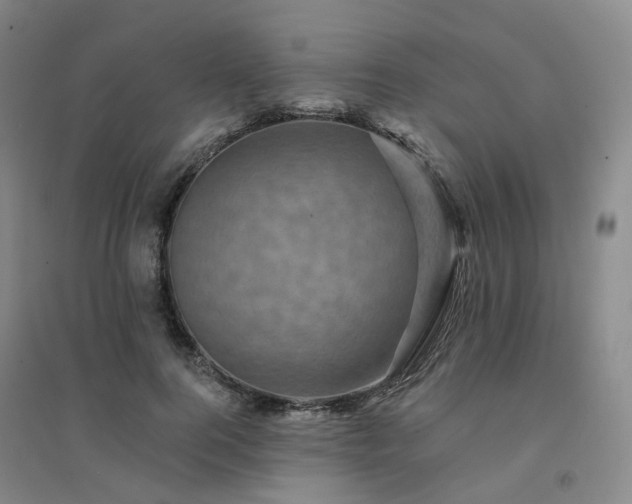 X0000094460744200711151449