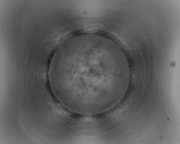 X0000094460745200711151449