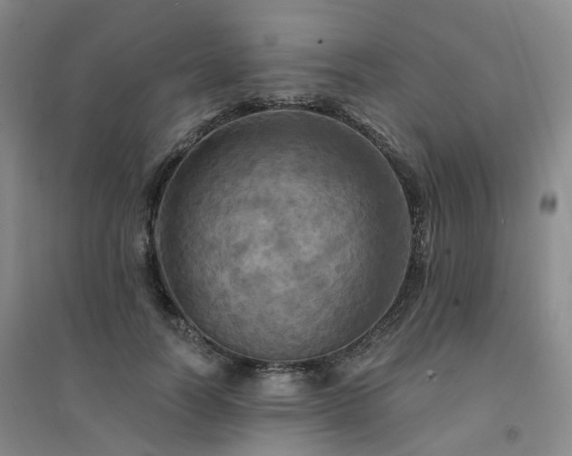 X0000094460746200711151449