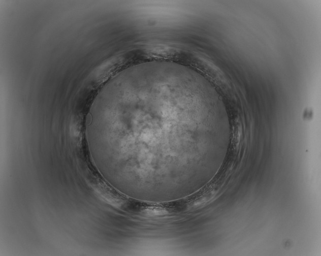 X0000094460749200711151449