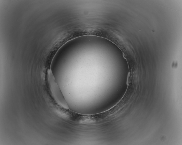 X0000094460750200711151449