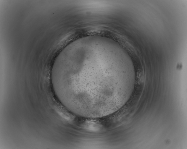 X0000094460753200711151449